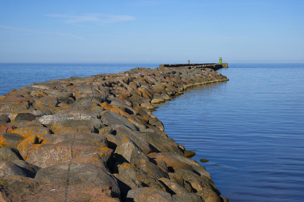 Roja Harbor